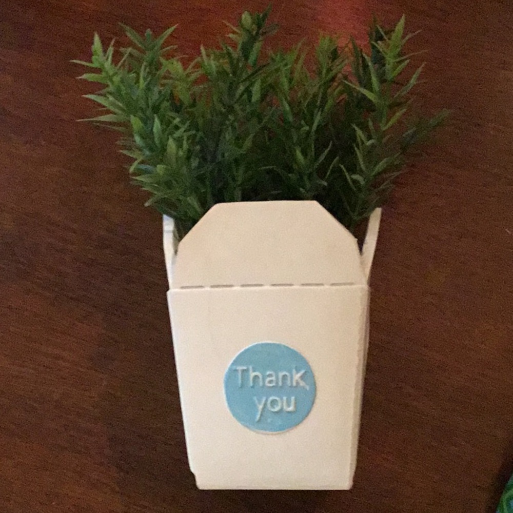 Takeout box ‘Thank You’ themed fake plant